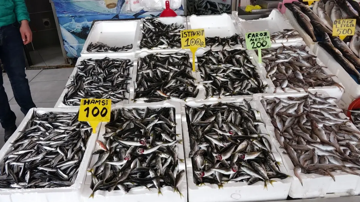 Trabzon’da Balık Tezgahları Renkleniyor: Mezgit ve İstavrit Talepleri Artıyor