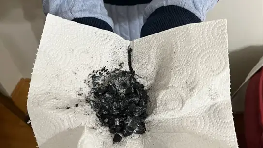 Tarık Yıldız’ın Peynir Altı Suyu ile Geliştirdiği Çevreci Gübre Çözümü