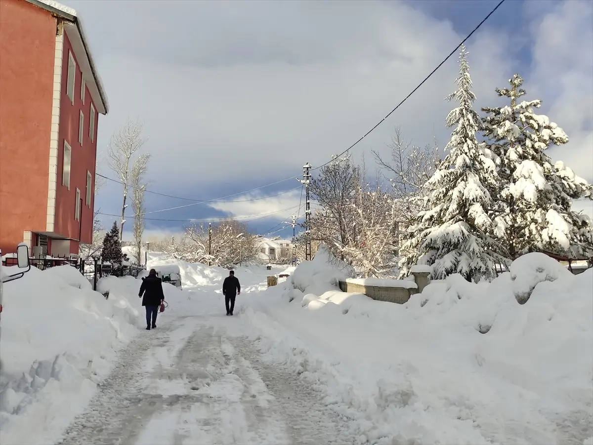 Bingöl'ün Karlıova İlçesinde 15 Köyün Yolu Karla Kapandı, Temizlik Ekipleri Çalışıyor