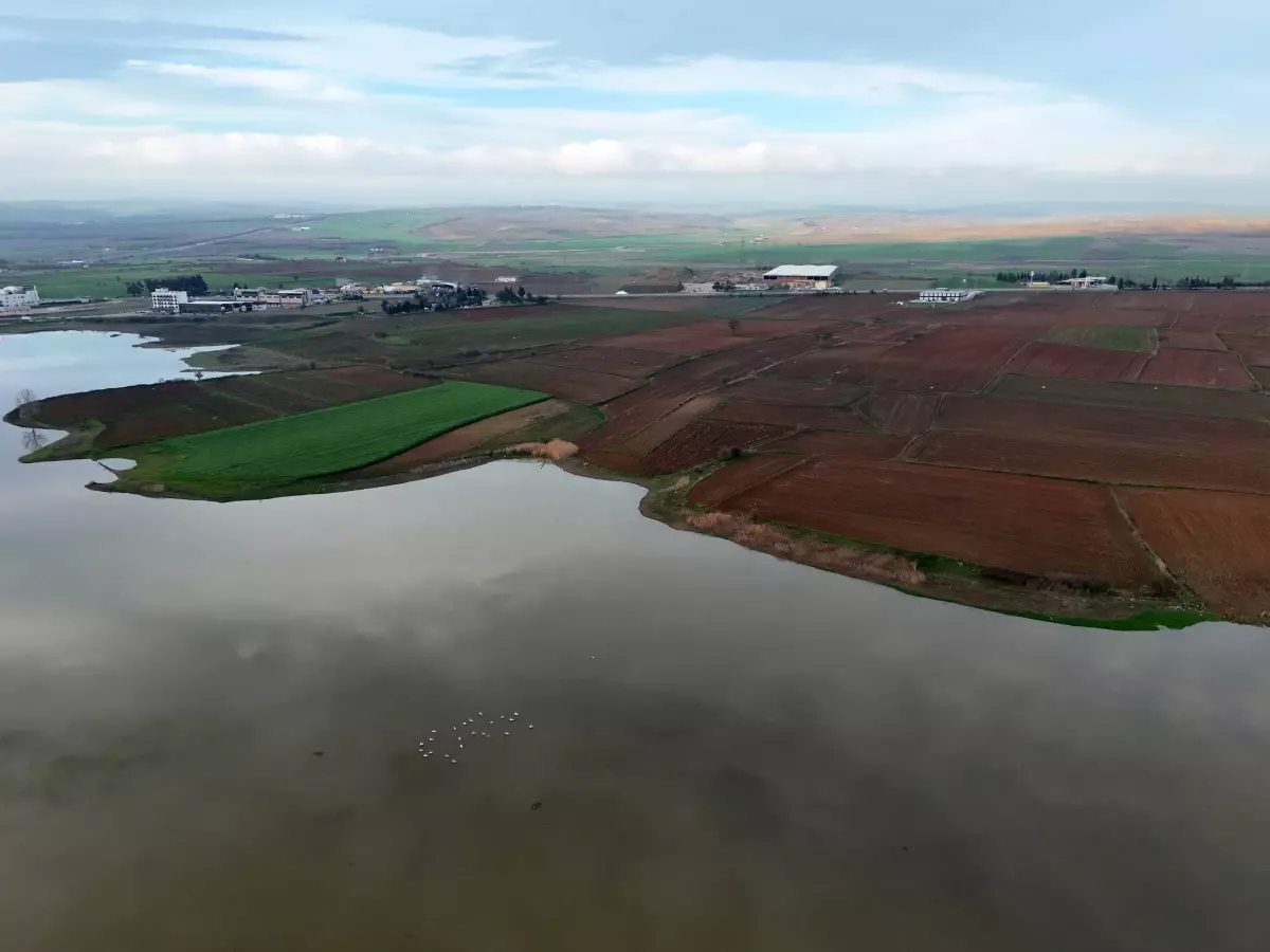 Keşan’da Kocadere Göleti Su Seviyesi Rekor Kırdı: Çiftçiler Memnun