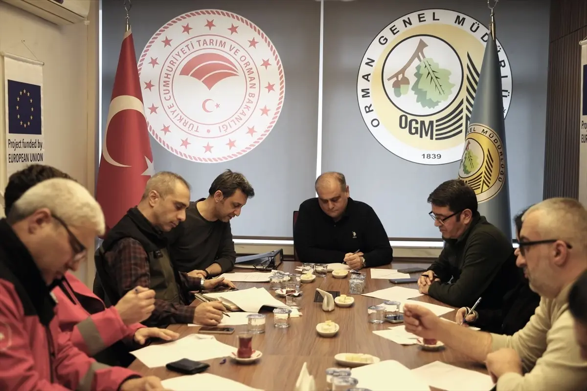 Doğa Dostu Stratejilerle Orman Yangınlarının Önüne Geçmek