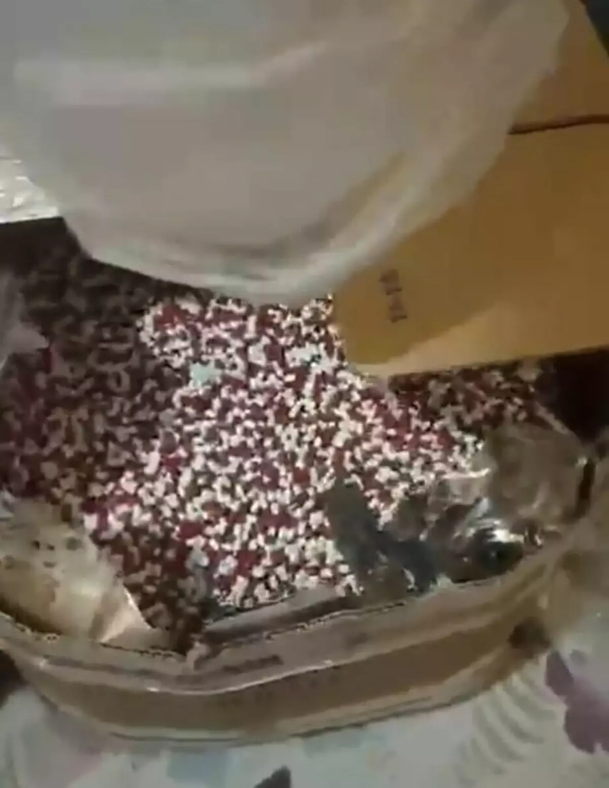 İzmir Konak’ta 104.040 Sentetik Uyuşturucu Ele Geçirildi