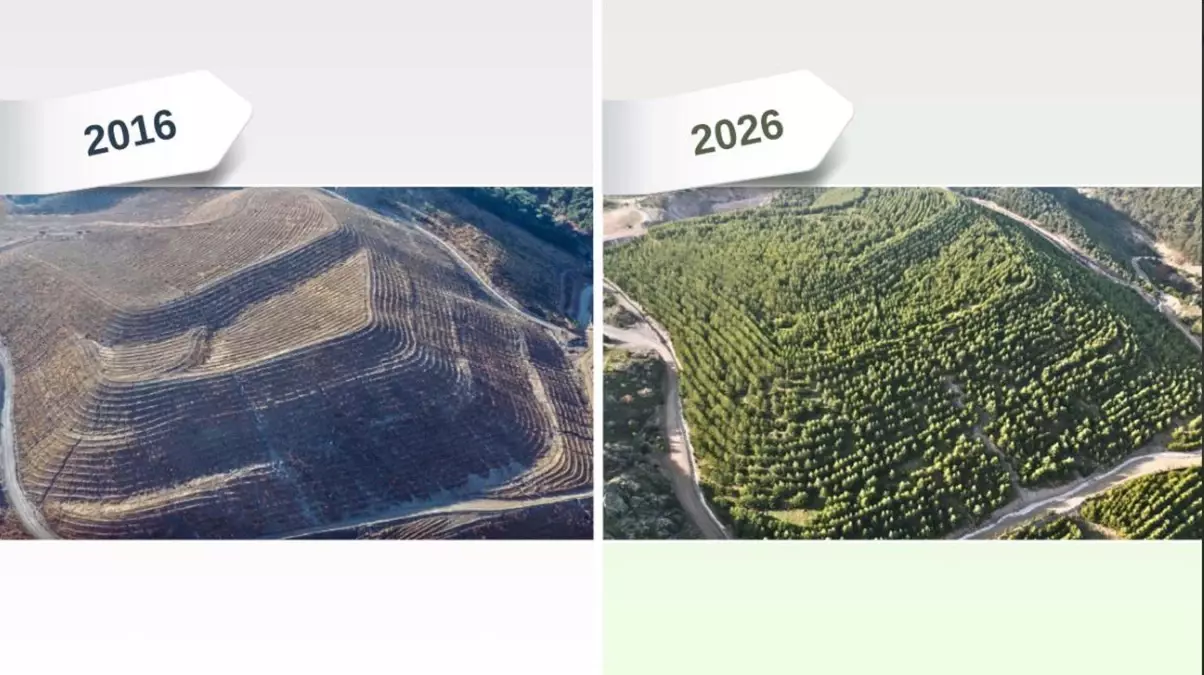 Dikili'de Eski Maden Sahası Yeşil Bir Cennete Dönüştü