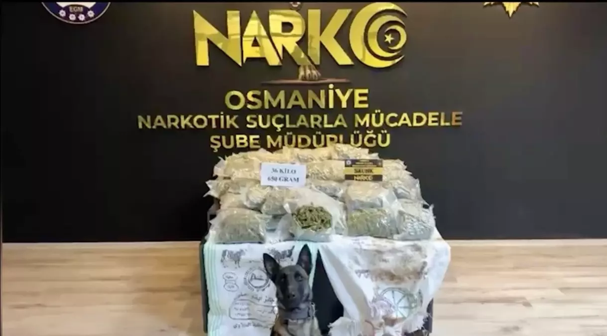 Osmaniye'de 36 Kilogramlık Skunk Operasyonu: Araçta Büyük Uyuşturucu Ele Geçirildi