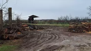 Kazanın gerçekleştiği odun kesme sahası