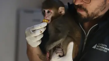 Uyuşturucu operasyonu sırasında yakalanan şüpheliler