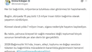 Dünya Sigarayı Bırakma Günü görseli