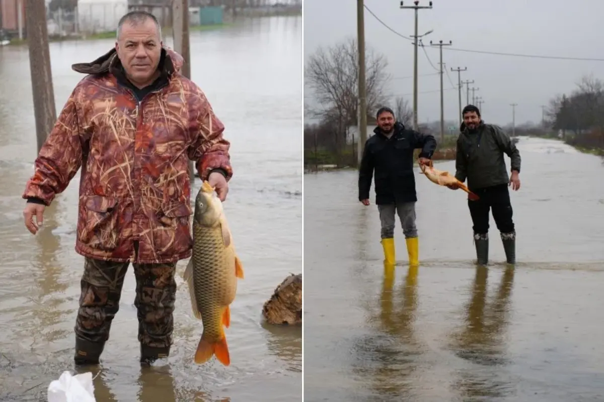 Edirne Tarla Sularında 7 Kilo Sazan: Taşkın Sonrası Şaşırtıcı Görüntü