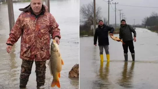 Tarlada bulunan 7 kilo sazan balığı