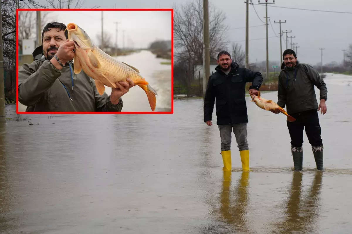 Edirne’de Meriç Nehri Taşkını Sonrası Tarlalarda Kilolarca Balık Yakalandı