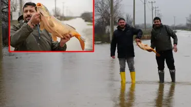 Edirne’de Meriç Nehri Taşkını Sonrası Tarlalarda Kilolarca Balık Yakalandı