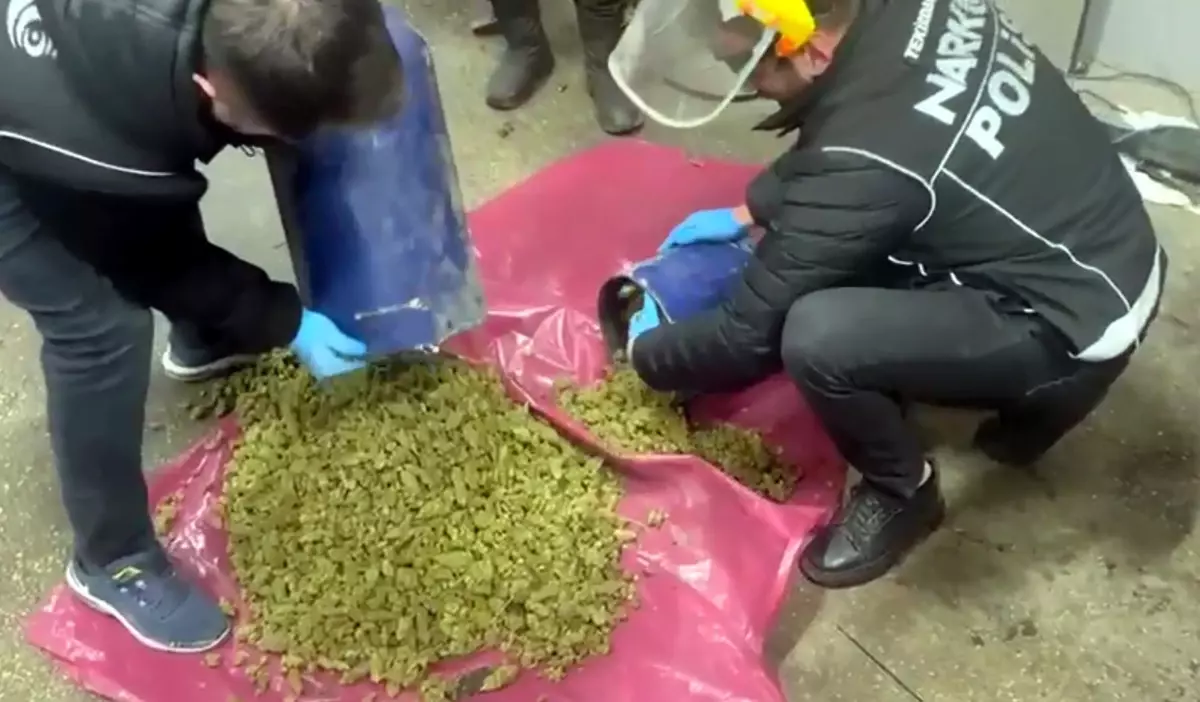 Tekirdağ’da Bulgar Plakalı Araçta 24,5 Kg Skunk Ele Geçirildi