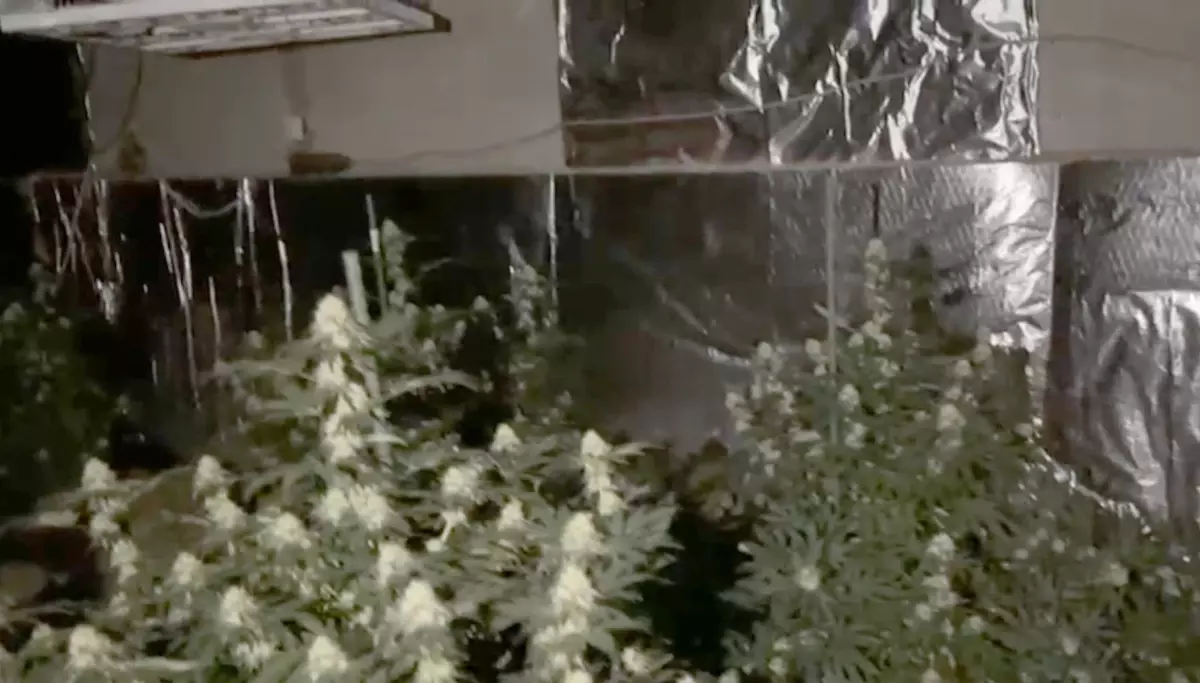 Kırklareli'de Çiftlikte Gizli Uyuşturucu Laboratuvarı Çökertildi