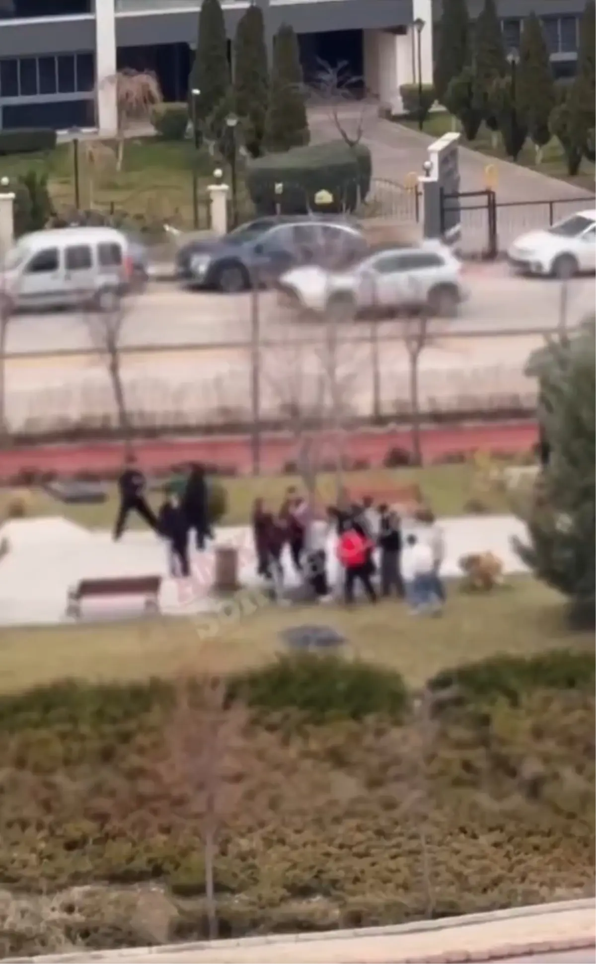 Ankara’da Çocuklar Arasında Şok Edici Ağaca Bağlama Olayı