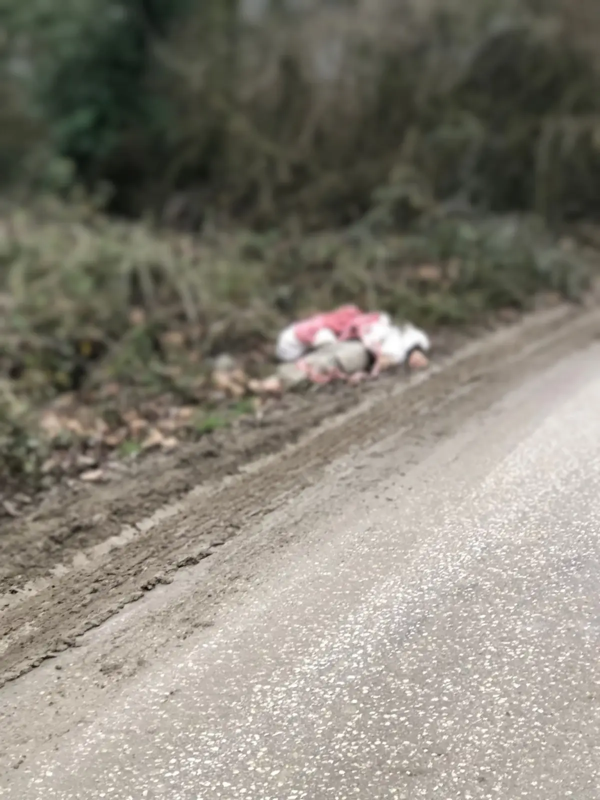 Düzce'de TIR'dan İndirilen Göçmenlerde 1 Ölü, 28 Kişi Hayatta Kaldı