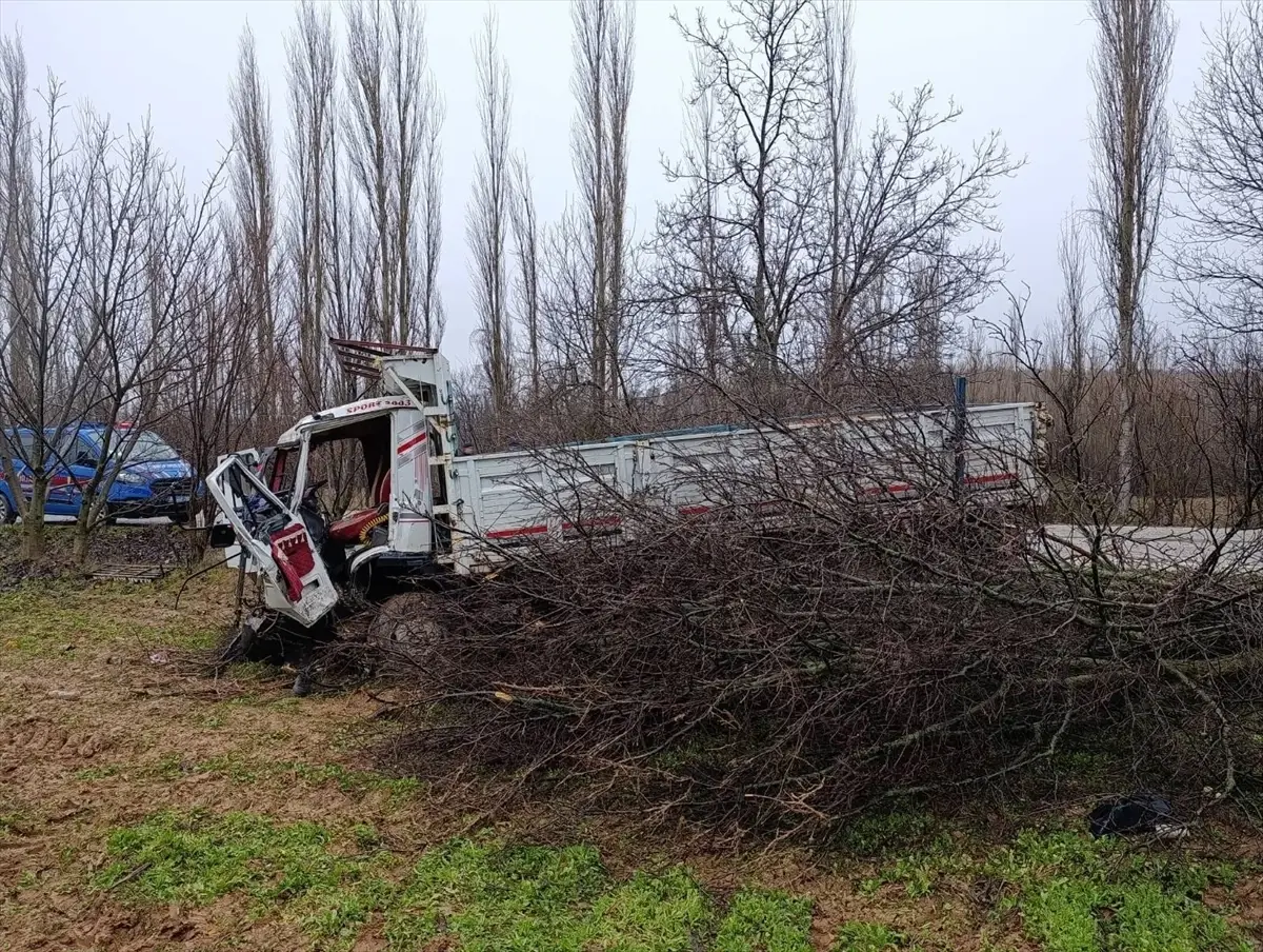 Uşak Banaz’da Kamyon Ağaçlara Çarptı: 4 Kişi Yaralandı