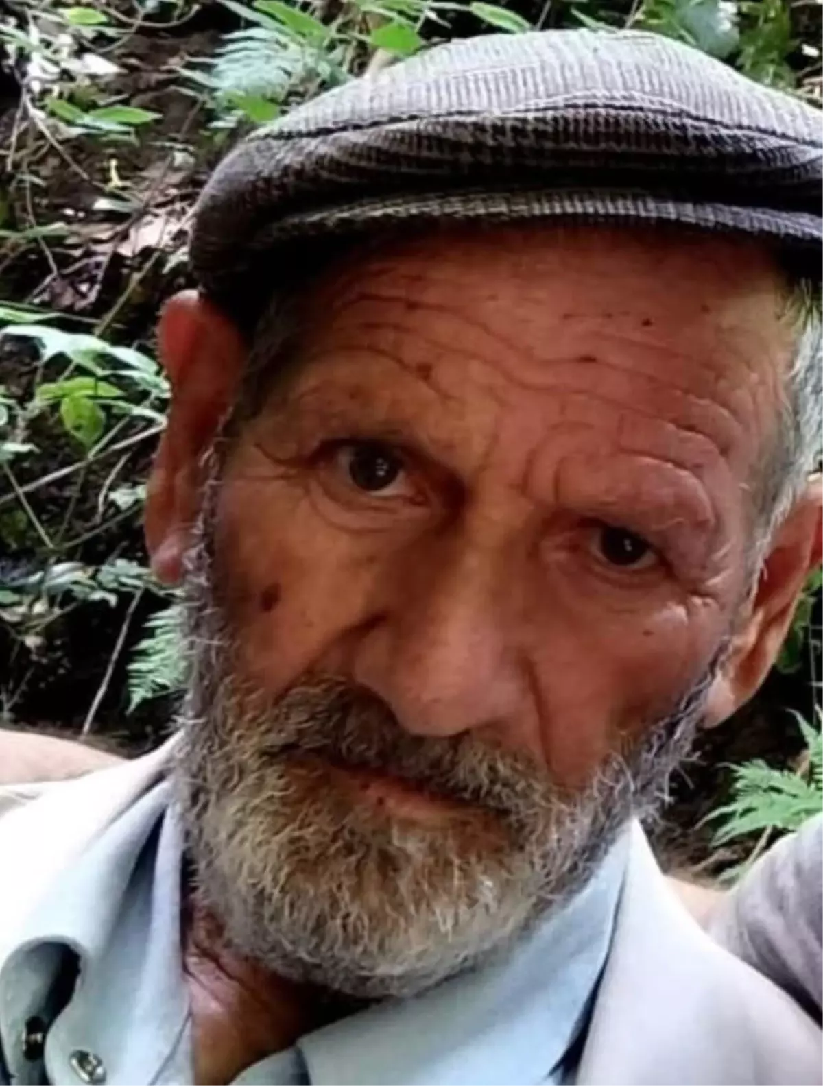 Ünye'de 84 Yaşındaki Yaşlı Adam Trafik Kazasında Hayatını Kaybetti