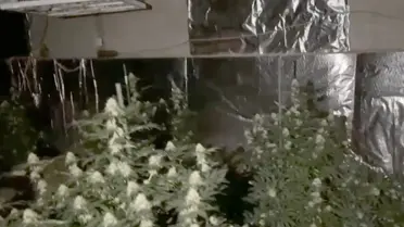 Operasyon sırasında polis ekipleri