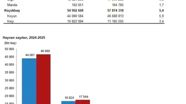 Büyükbaş hayvan sayısındaki artış grafiği