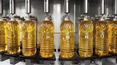 Yudum üretim tesisleri ve yeni stratejik ortaklık