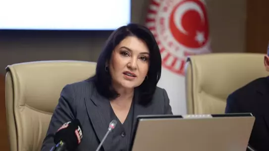 2025 denetim raporu istatistikleri grafiksel gösterim