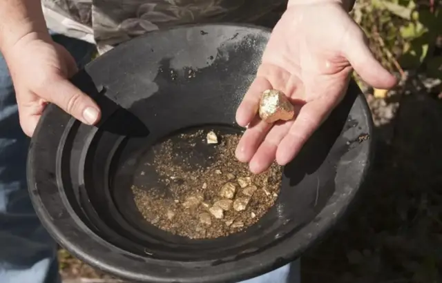 Nalvegas nehirinde altın yıkama etkinliği