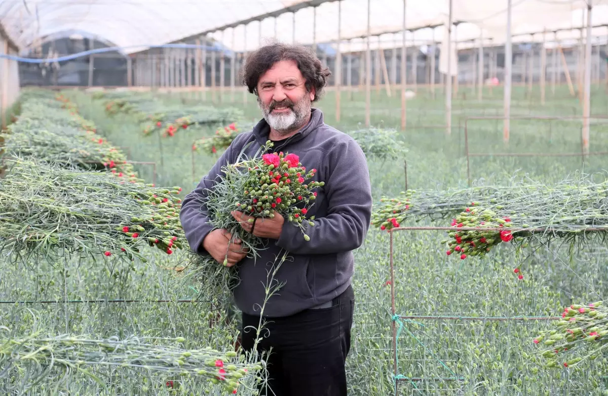 Antalya’da Kesme Çiçek İhracatı 160 Milyon Dolarla Rekor Kırdı, 2026 Hedefi 180 Milyon