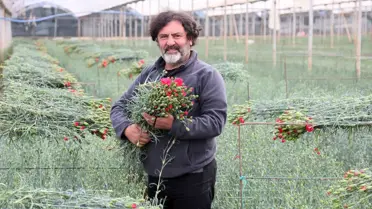 Kesme çiçek ihracatı görseli