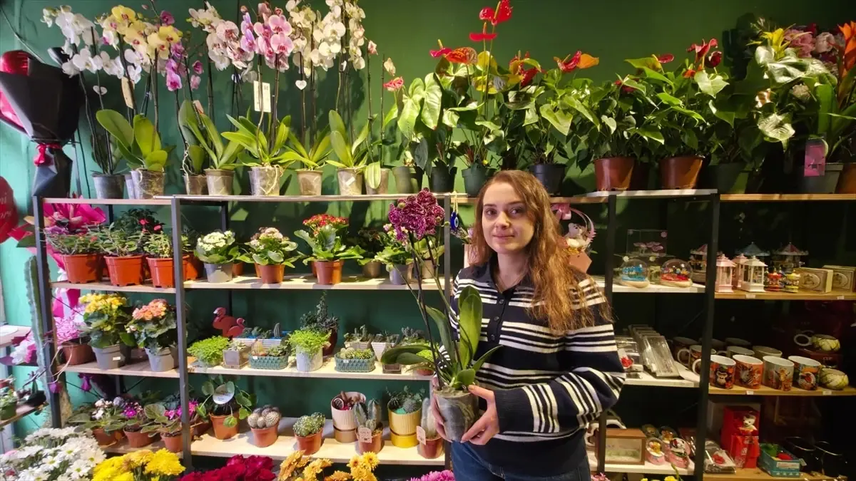 Gümüşhacıköy Çiçekçileri Sevgililer Günü İçin Renkli Stoklarını Yeniledi