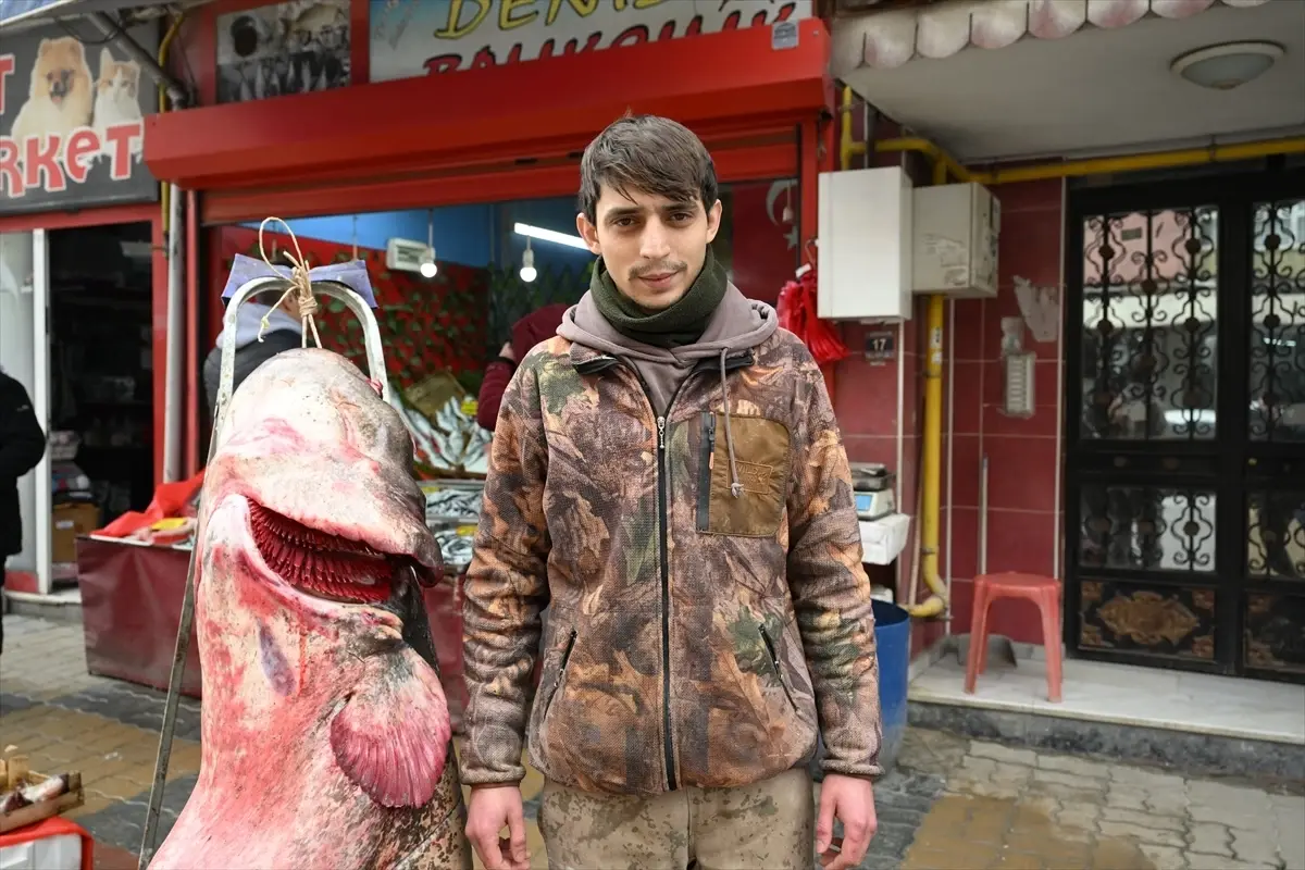 Edirne Meriç Nehri'nde 102 Kilogramlık Dev Yayın Balığı Avlandı