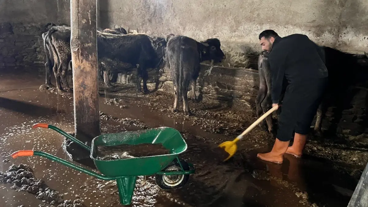 Yüksekova’da Şiddetli Yağışlar Aksu Mahallesi’ni Su Baskınlarıyla Karşı Karşıya Bıraktı