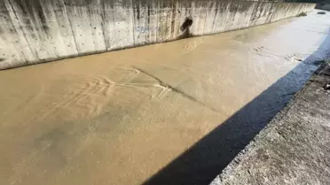 Musa Yarar’ın cansız bedeni