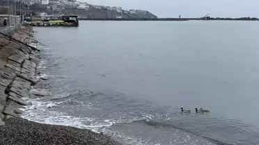 Tekirdağ Limanı’nda gemiler