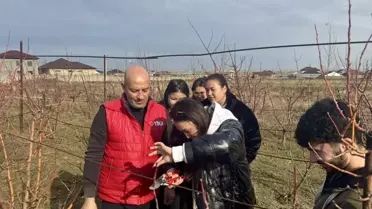 Modern bahçecilik ekipmanları ve uygulama sahası