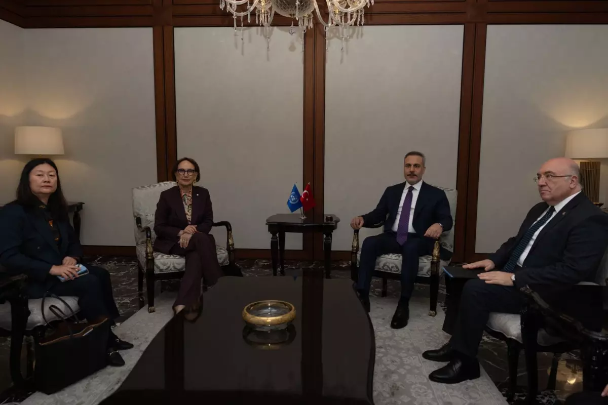 Dışişleri Bakanı Fidan, UNCTAD Lideri Grynspan'ı Ankara'da Karşıladı