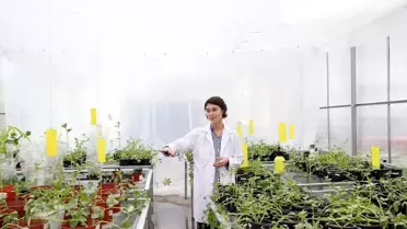 Uzayda bitki yetiştirme deney seti