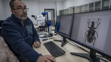 Erzurum Üniversitesi'nden İki Yeni Hortumlu Böcek Türü Tanıtıldı