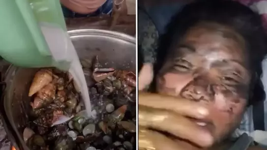 Zehirli yengeç türü