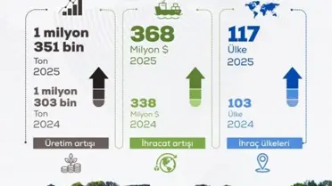 Tohum ihracatı grafiği