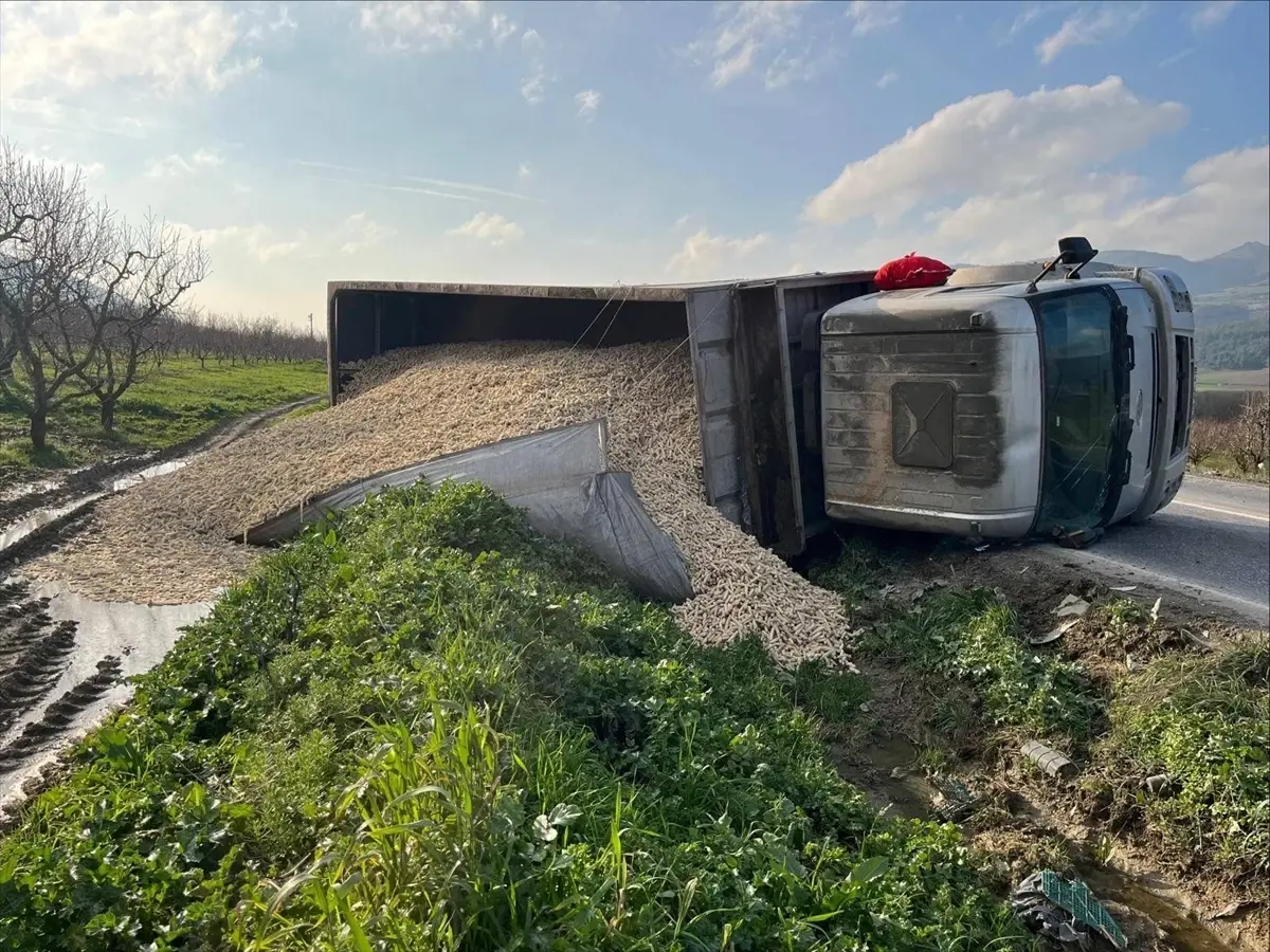Osmaneli'de Mısır Yüklü Kamyon Kazası: Sürücü Ağır Yaralı