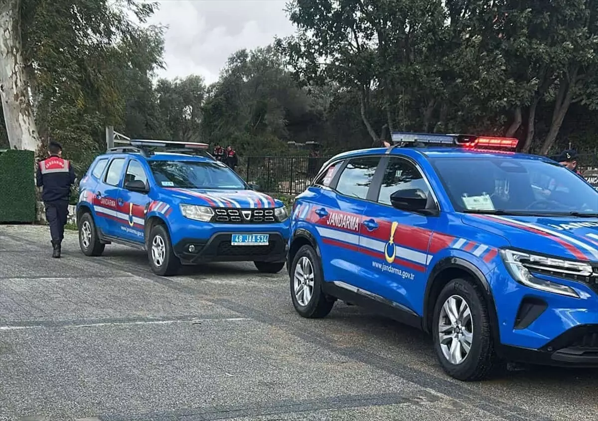 Bodrum’da Silahlı Saldırı: İki Köpek Av Tüfeğiyle Vuruldu, Şüpheli Gözaltına Alındı