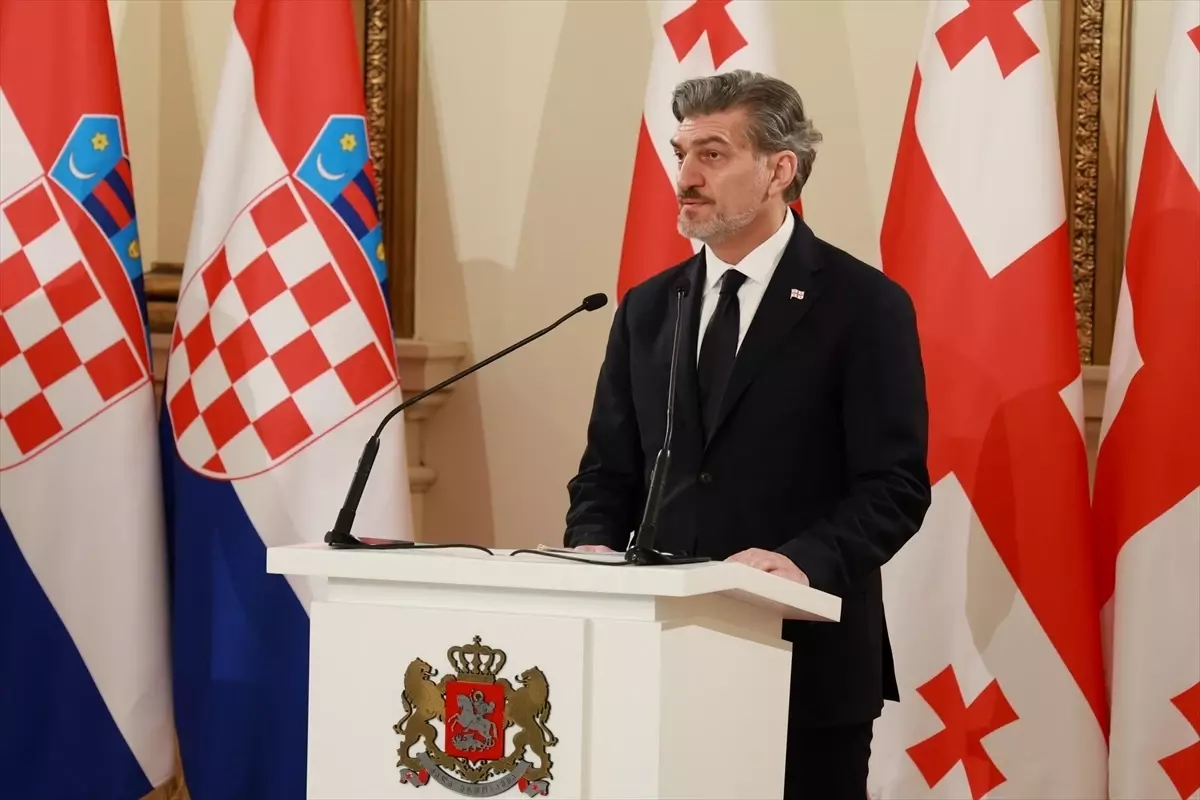 Gürcistan ve AB Arasındaki Diyalog, Normalleşme Yolunda İlerliyor