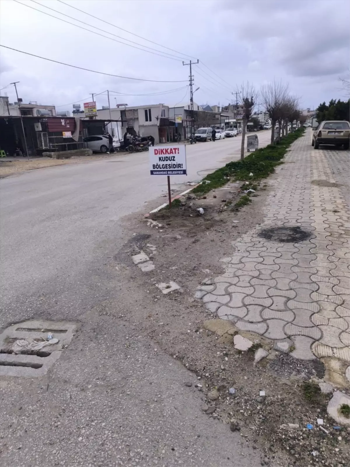 Hatay'ın Samandağ İlçesinde Kuduz Nedeniyle Dört Mahallede Karantina Başlatıldı