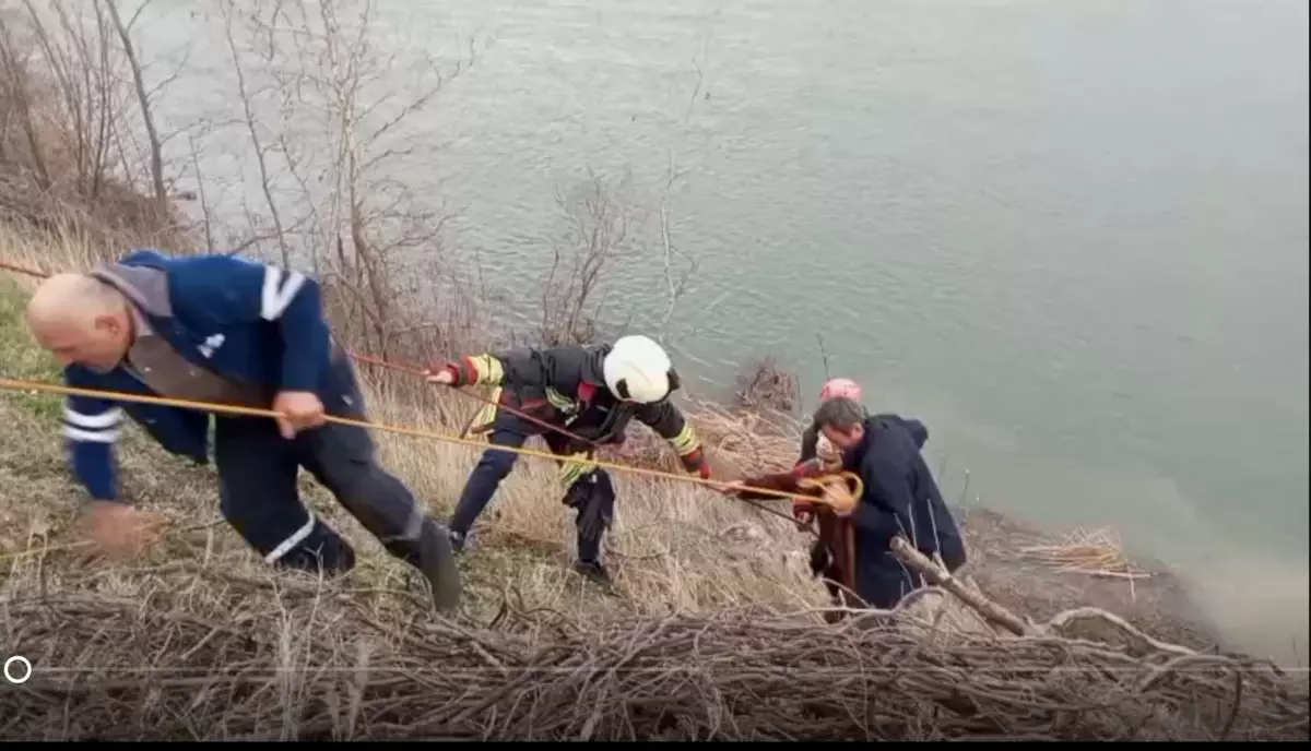 Bafra’da Traktör Kazası: 75 Yaşındaki Sürücü Hayatını Kaybetti