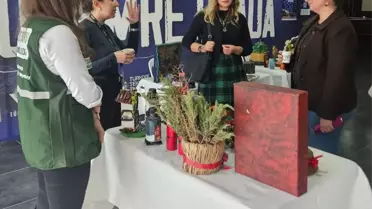 Sergide sergilenen el sanatları örnekleri