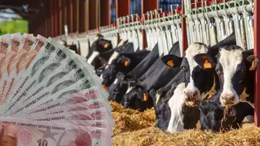 TÜİK hayvan sayımı grafiği