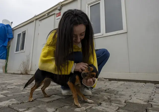 Emel ve köpeği son kare