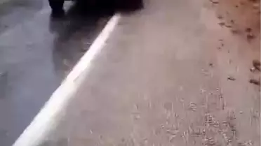 Kaya düşmesi sonrası oluşan araç hasarı