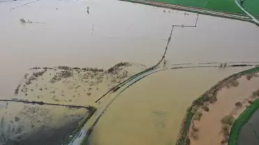 Büyük Menderes Nehri taşması Aydın’da sel görüntüsü