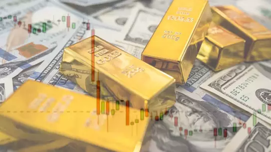 Spot altın fiyat grafiği